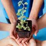 Agence RSE : pourquoi travailler avec une agence web engagée