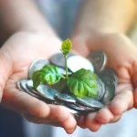 Crowdfunding : définition, fonctionnement et types de financement