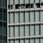 Personne morale : définition, types et caractéristiques