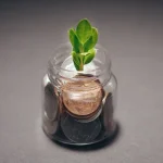 Valeur actuelle nette (VAN) : définition, formule et calcul